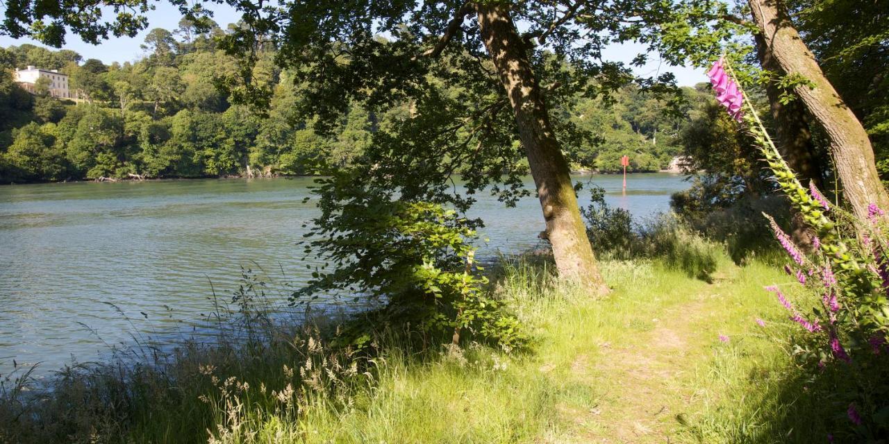 Vipers Quay Villa Dartmouth Eksteriør bilde